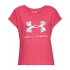 Under Armour Graphic Sportstyle Pink